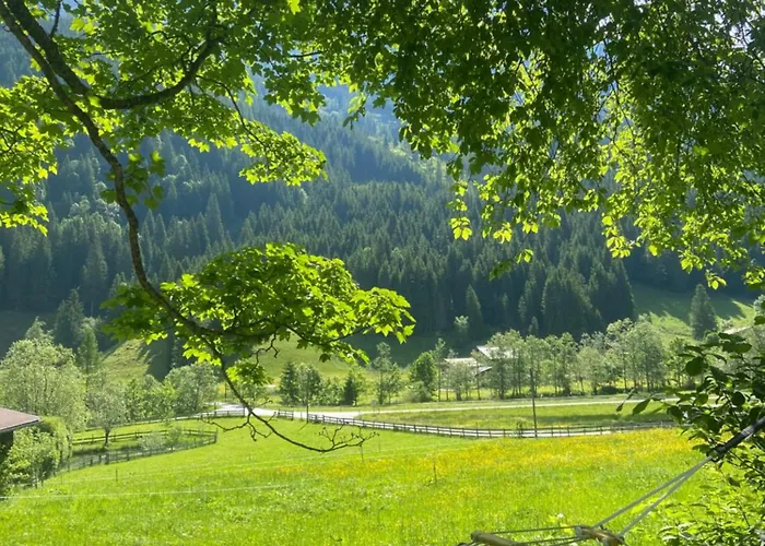 Zirbis Bergzauber * Kleinarl